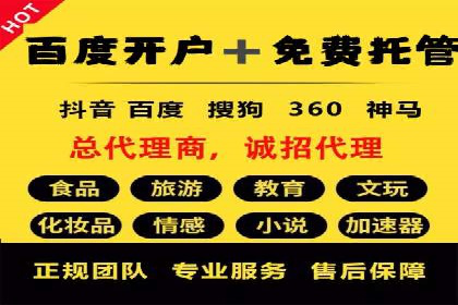 SEM托管服务，案例分享转化成果